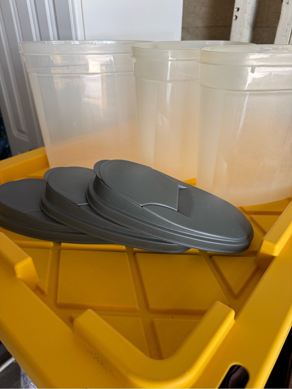 3 IKEA Translucent Food Storage Containers with Gray Lids - Slim space saver